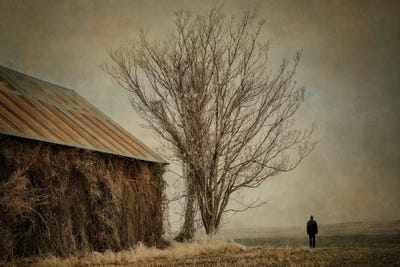 Desolation by MScottPhotography art print