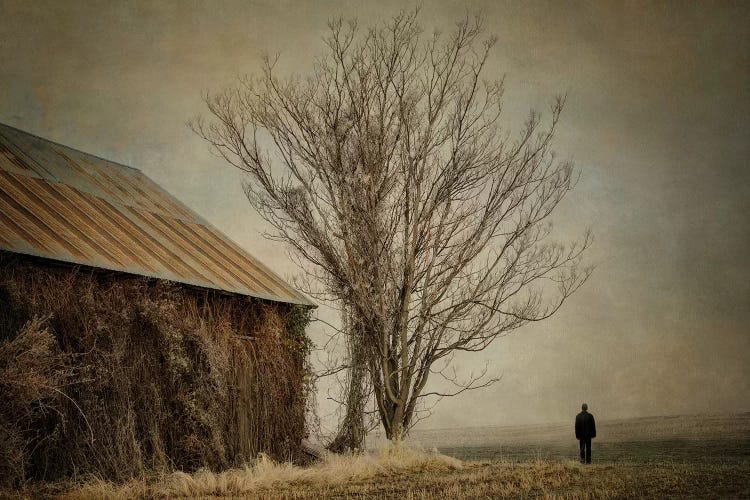 Desolation by MScottPhotography wall art