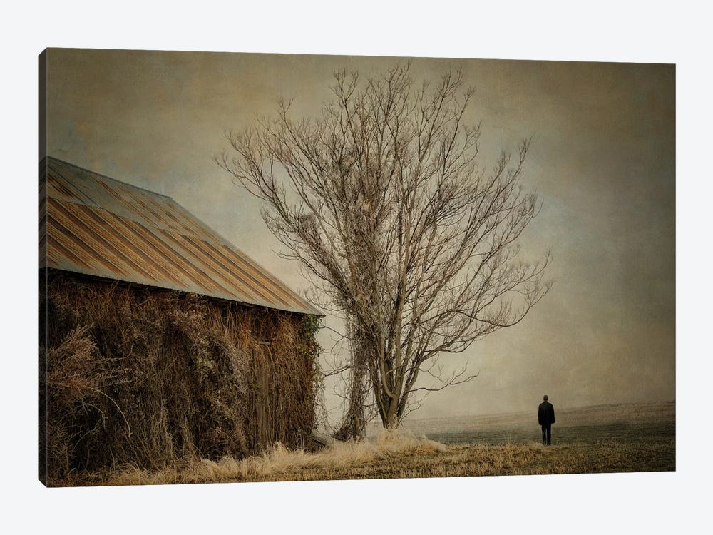 Desolation by MScottPhotography 1-piece Canvas Print