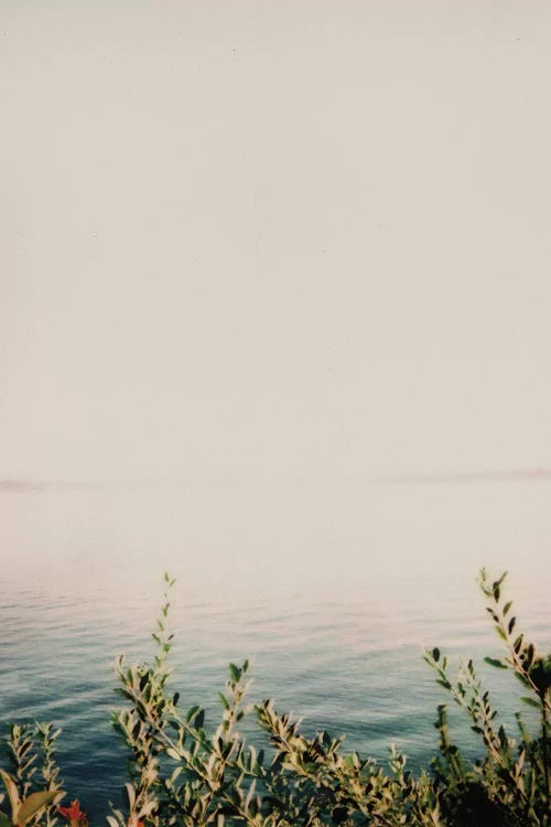 Dream