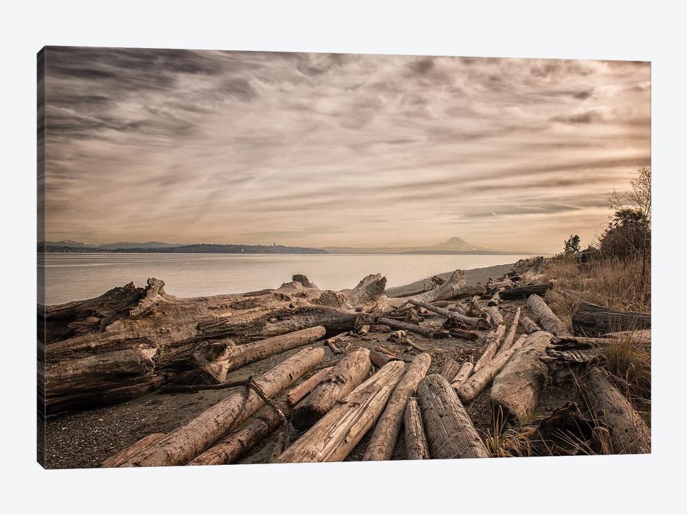 Driftwood by MScottPhotography 1-piece Canvas Print