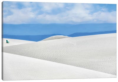Dunes Canvas Art Print - MScottPhotography