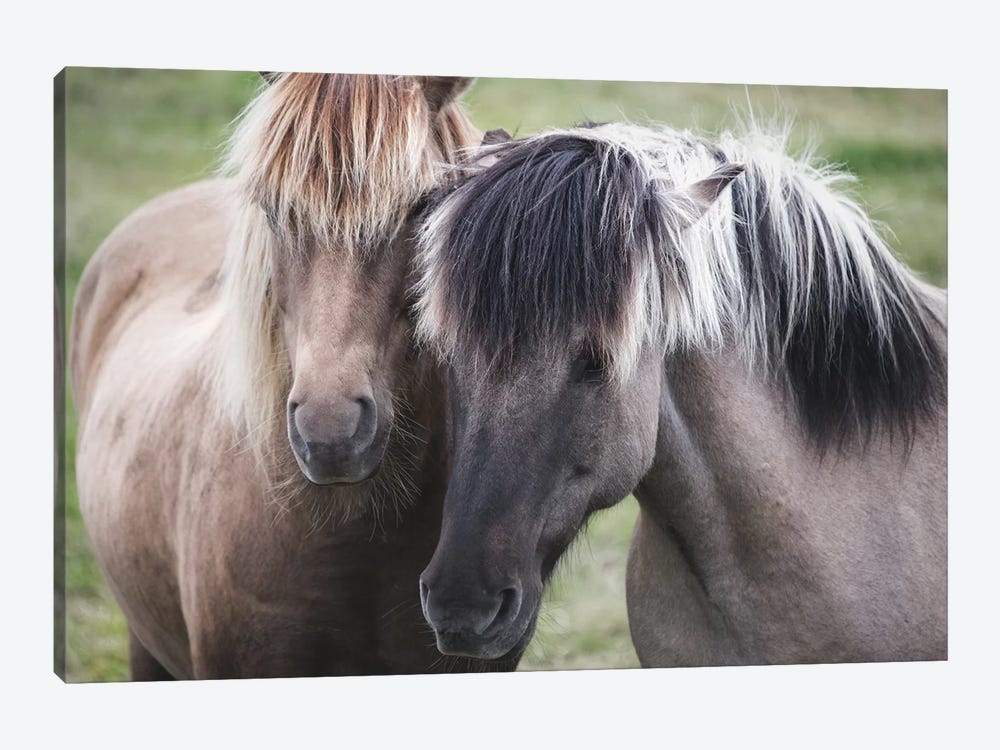 Dynamic Duo by MScottPhotography 1-piece Canvas Art Print