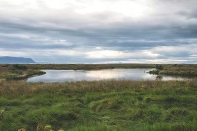 Grassy Pond by MScottPhotography art print