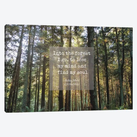 Into The Forest Canvas Print #MPH66} by MScottPhotography Canvas Art