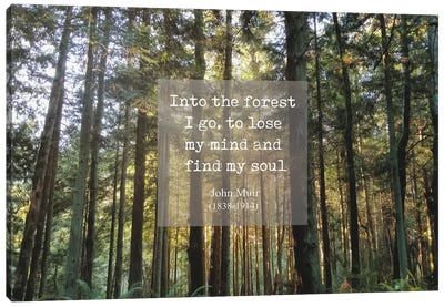 Into The Forest Canvas Art Print - Camping Art