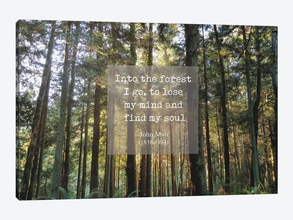 Into The Forest by MScottPhotography 1-piece Canvas Art