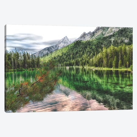 Jenny Lake Canvas Print #MPH67} by MScottPhotography Canvas Artwork