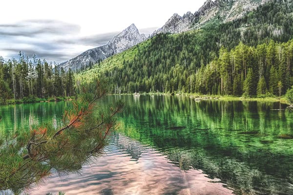 MScottPhotography: Jenny Lake by MScottPhotography