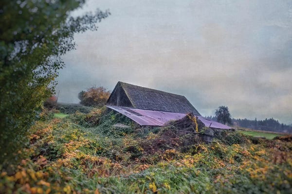 Jamaica: Kingston Barn by MScottPhotography