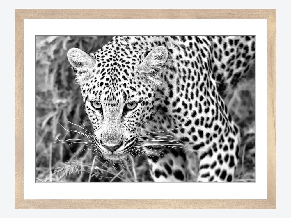 Leopard black and white canvas print with wooden canvas holder