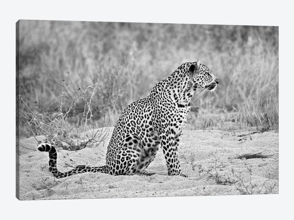 Leopard In Black And White by MScottPhotography 1-piece Art Print