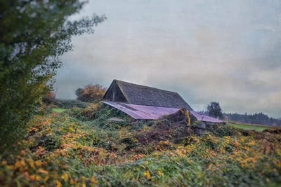 Beautiful Decay by MScottPhotography canvas print