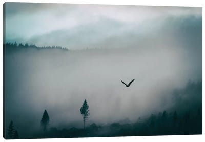 Misty Canvas Art Print - MScottPhotography