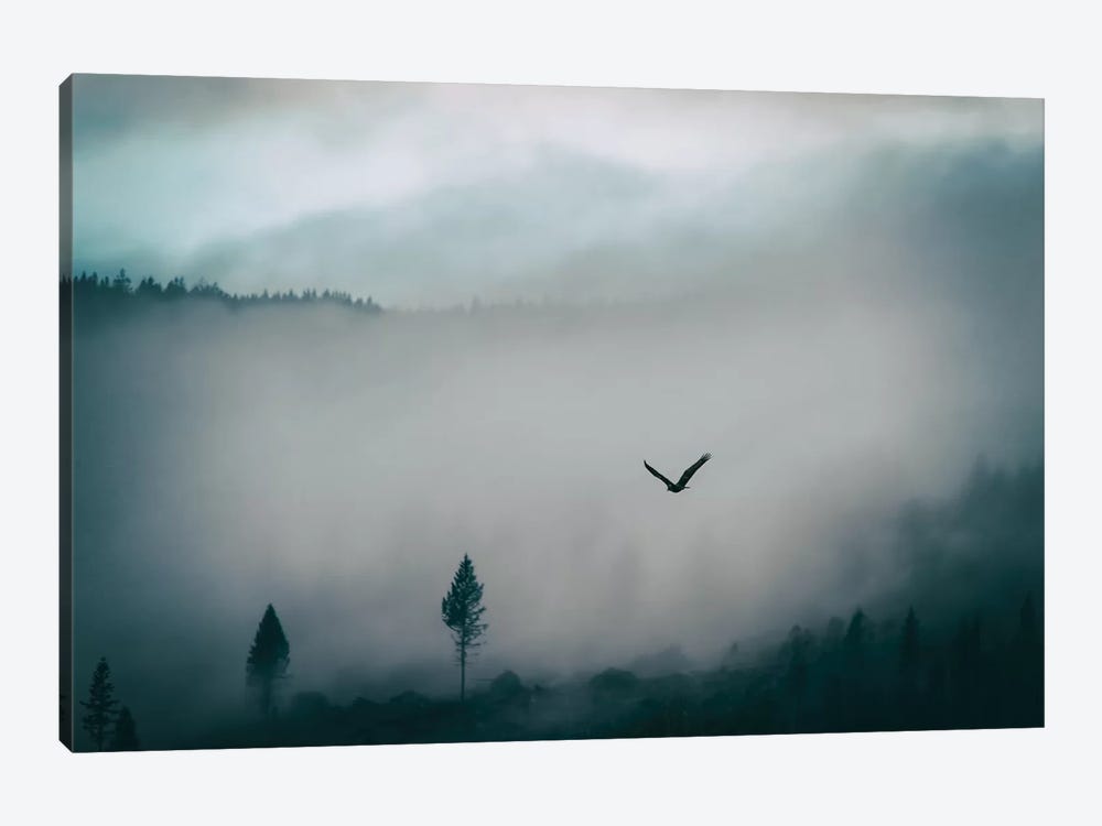 Misty by MScottPhotography 1-piece Canvas Art Print