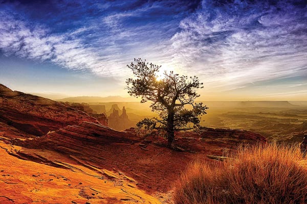 MScottPhotography: Moab by MScottPhotography