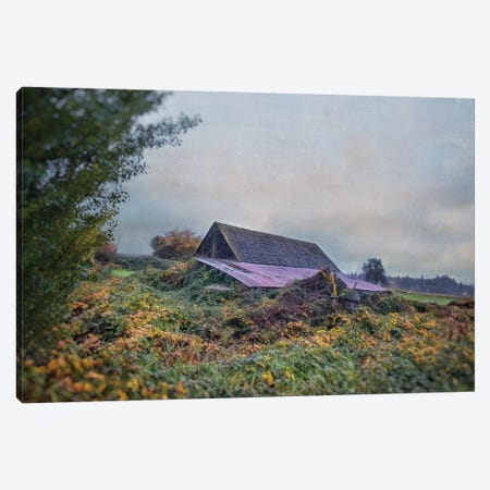 Beautiful Decay Canvas Print #MPH8} by MScottPhotography Canvas Art