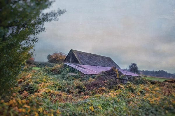MScottPhotography: Beautiful Decay by MScottPhotography
