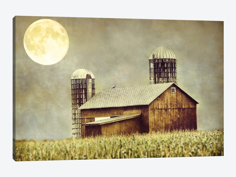 Moon Barn by MScottPhotography 1-piece Canvas Print