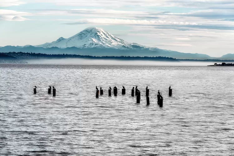 Mount Rainier by MScottPhotography wall art
