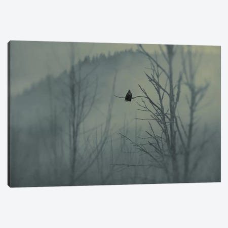 Mystery Canvas Print #MPH98} by MScottPhotography Canvas Wall Art