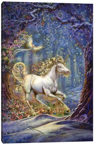 Unicorn Canvas Art Print