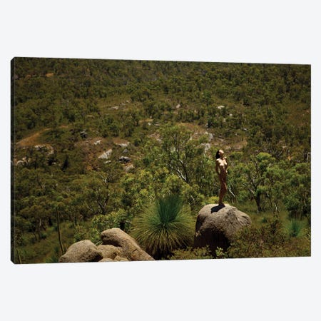 Into The Wild Canvas Print #MPN26} by Aaron McPolin Canvas Artwork