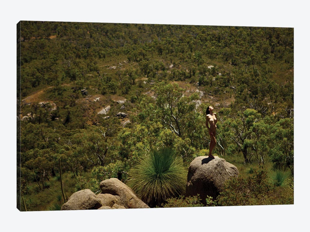 Into The Wild by Aaron McPolin 1-piece Canvas Wall Art