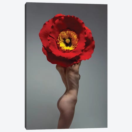 Poppy Flower - Eden Fae Canvas Print #MPN77} by Aaron McPolin Canvas Art Print