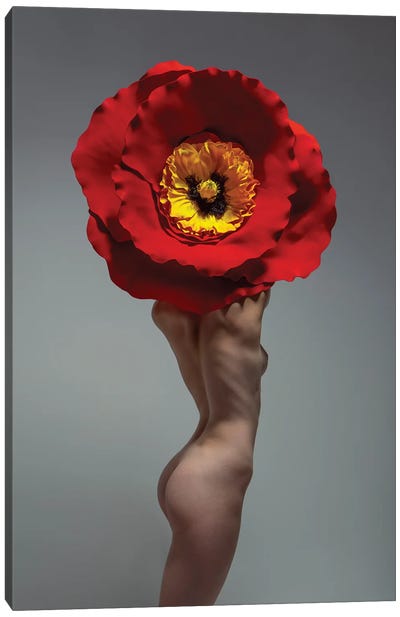 Poppy Flower - Eden Fae Canvas Art Print - Aaron McPolin