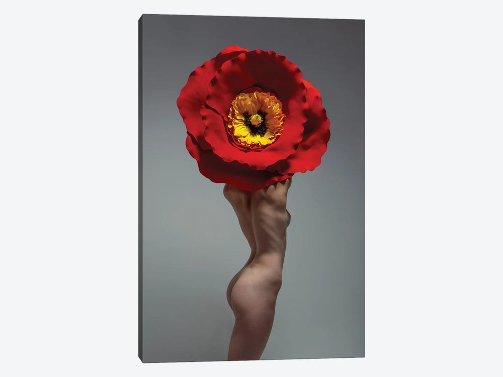 Poppy Flower - Eden Fae by Aaron McPolin 1-piece Canvas Artwork