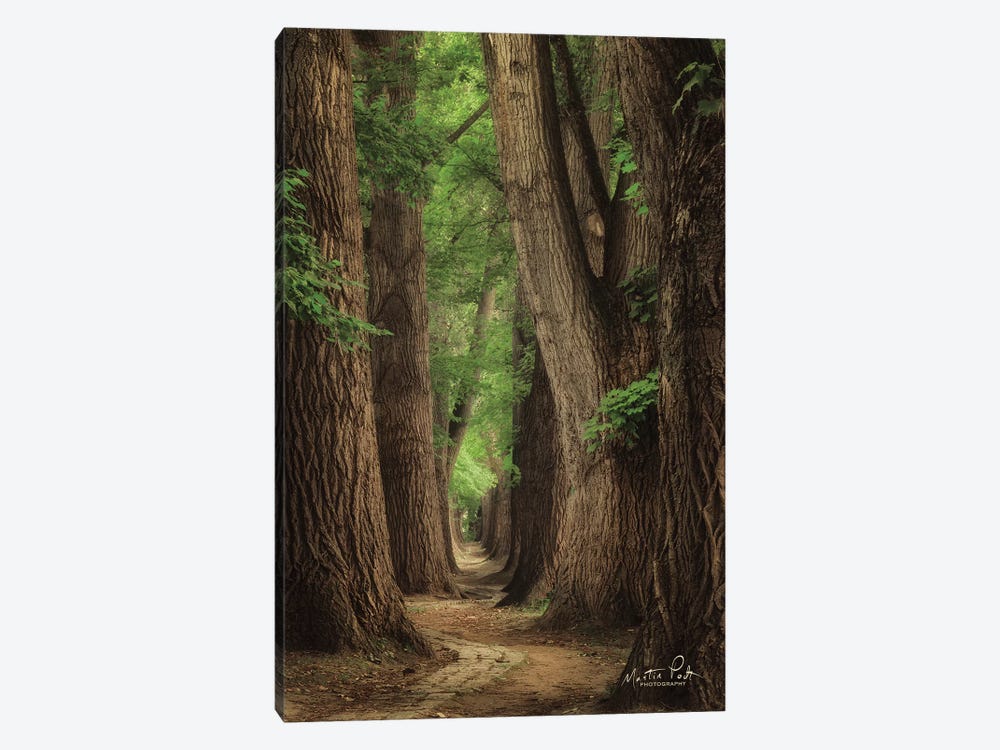 Roads were Made for Journeys by Martin Podt 1-piece Canvas Print