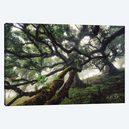Tentacles Canvas Print #MPO120} by Martin Podt Canvas Wall Art
