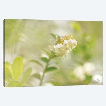 Lingonberry Canvas Print #MPO128} by Martin Podt Canvas Artwork