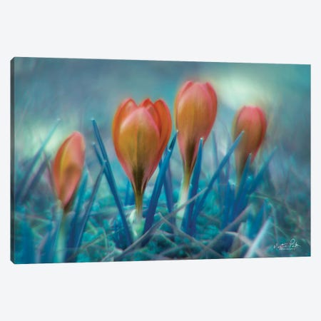 Different Kind of Spring Canvas Print #MPO12} by Martin Podt Canvas Print