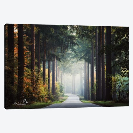 Mysterious Roads Canvas Print #MPO133} by Martin Podt Art Print