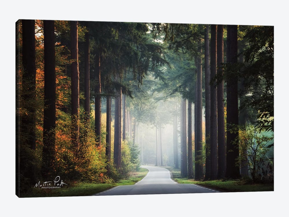 Mysterious Roads by Martin Podt 1-piece Canvas Art