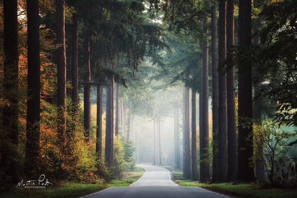 Martin Podt: Mysterious Roads by Martin Podt