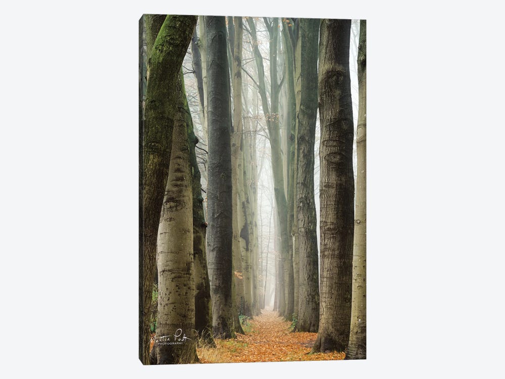 Narrow Alley In The Netherlands by Martin Podt 1-piece Canvas Art Print