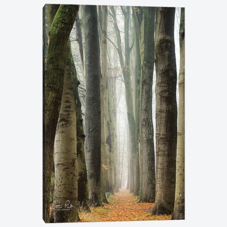 Narrow Alley In The Netherlands Canvas Print #MPO134} by Martin Podt Canvas Artwork