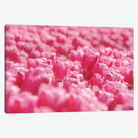 Pink Field Canvas Print #MPO135} by Martin Podt Canvas Wall Art