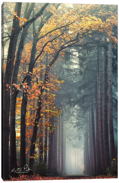 To Another World Canvas Art Print - Martin Podt