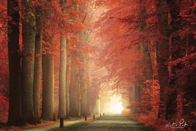 Way To Red by Martin Podt framed canvas print
