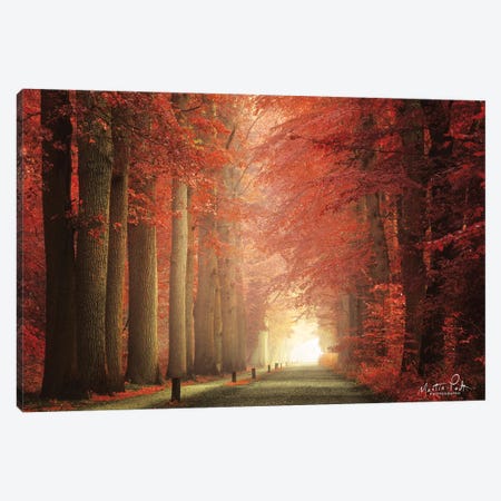 Way To Red Canvas Print #MPO145} by Martin Podt Canvas Art Print