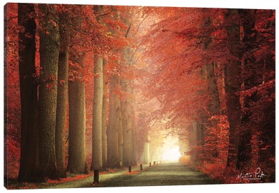 Way To Red Canvas Art Print - Martin Podt