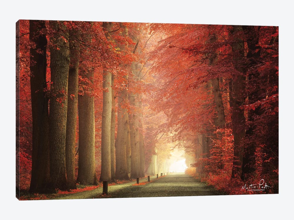 Way To Red by Martin Podt 1-piece Canvas Art Print
