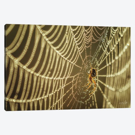 The Spider And Her Jewels Canvas Print #MPO158} by Martin Podt Canvas Print