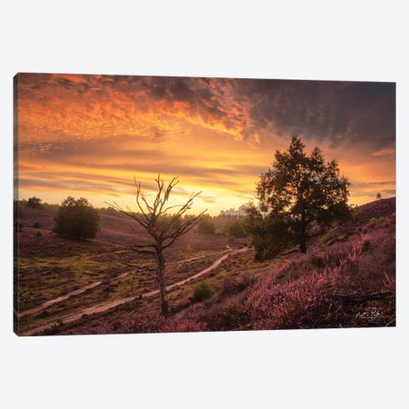 Dead Tree at Sunset Canvas Print #MPO163} by Martin Podt Canvas Wall Art