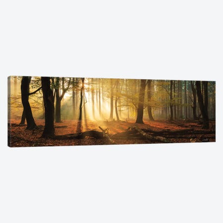 Speulderbos Panorama Canvas Print #MPO169} by Martin Podt Canvas Art