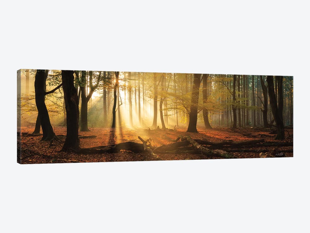 Speulderbos Panorama by Martin Podt 1-piece Canvas Print